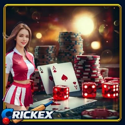 Crickex Beginner Tips