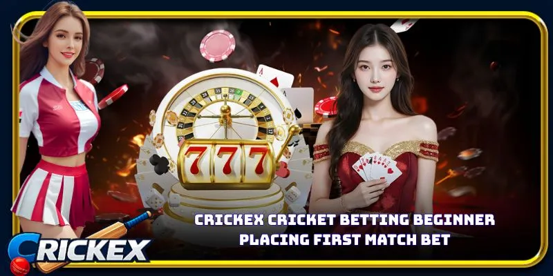Alt: crickex cricket betting beginner placing first match bet