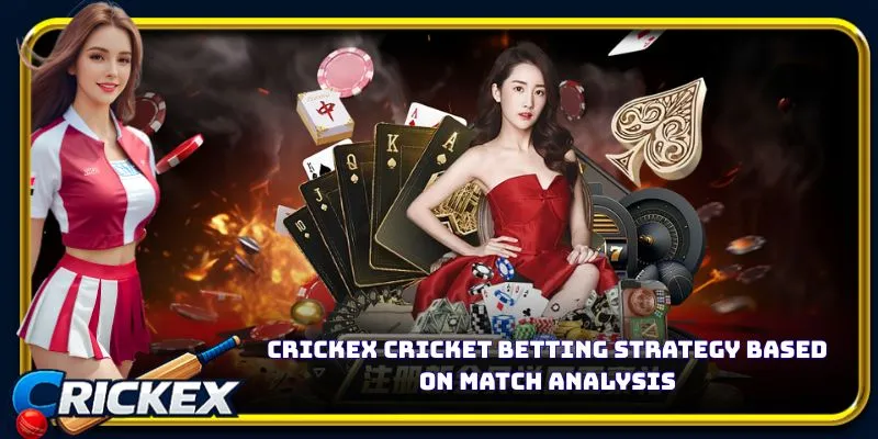Alt: crickex cricket betting strategy based on match analysis