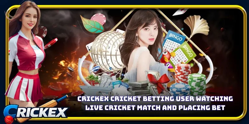 Alt: crickex cricket betting user watching live cricket match and placing bet