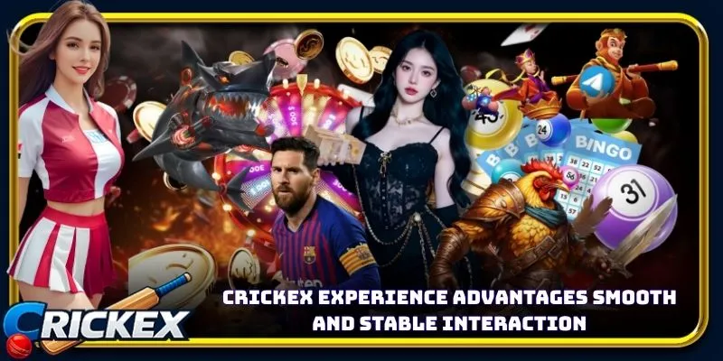 Alt: crickex experience advantages smooth and stable interaction