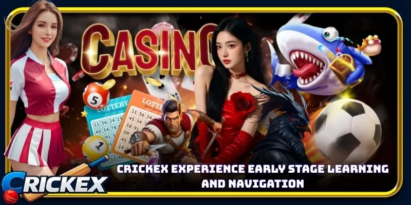 Alt: crickex experience early stage learning and navigation