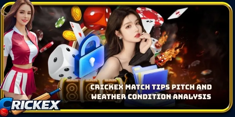 Alt: crickex match tips pitch and weather condition analysis