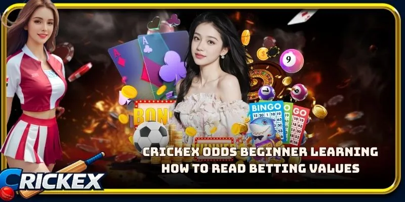 Alt: crickex odds beginner learning how to read betting values