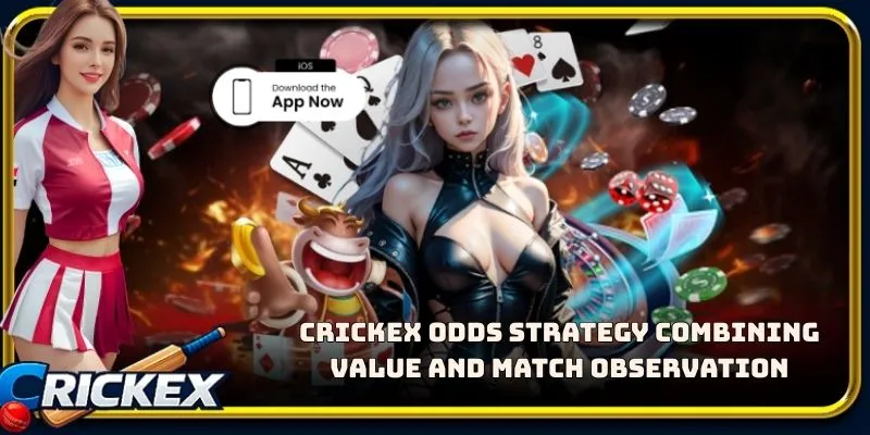 Alt: crickex odds strategy combining value and match observation