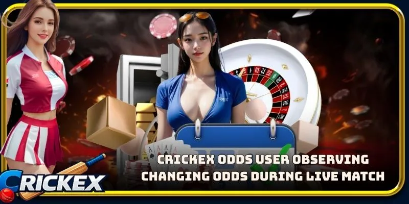 Alt: crickex odds user observing changing odds during live match