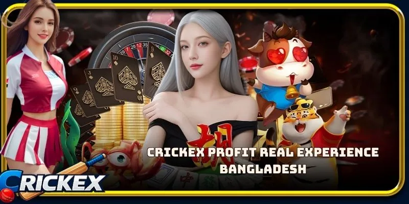 Alt: crickex profit real experience bangladesh