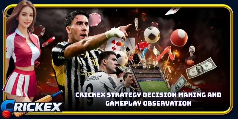 Alt: crickex strategy decision making and gameplay observation