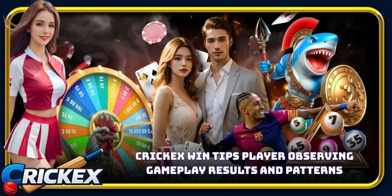 Alt: crickex win tips player observing gameplay results and patterns